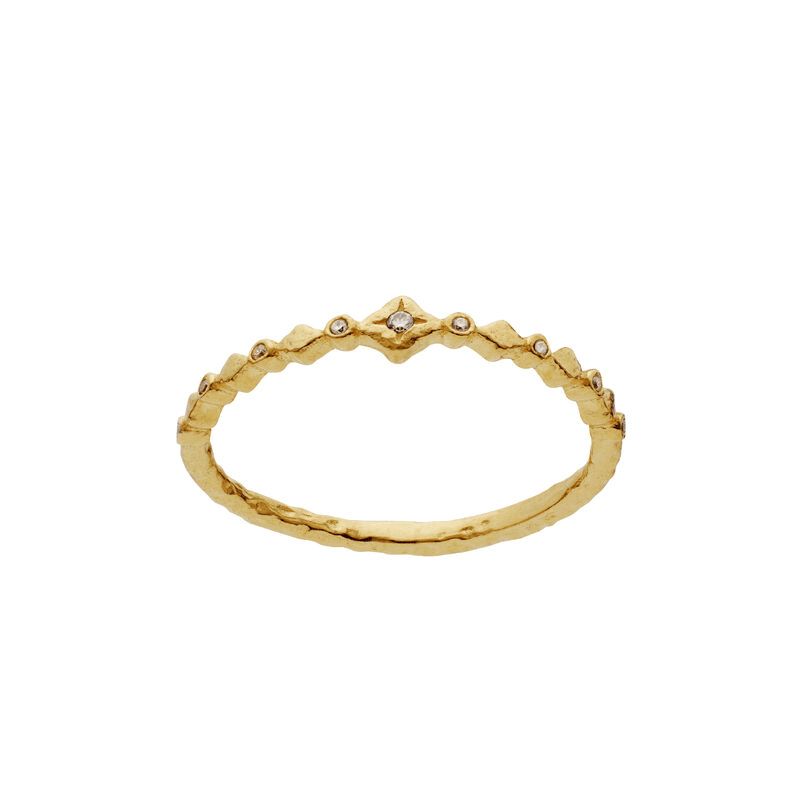 Ria ring, Maanesten